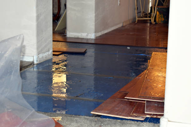 Professional Water Damage technician working in Rockport, TX